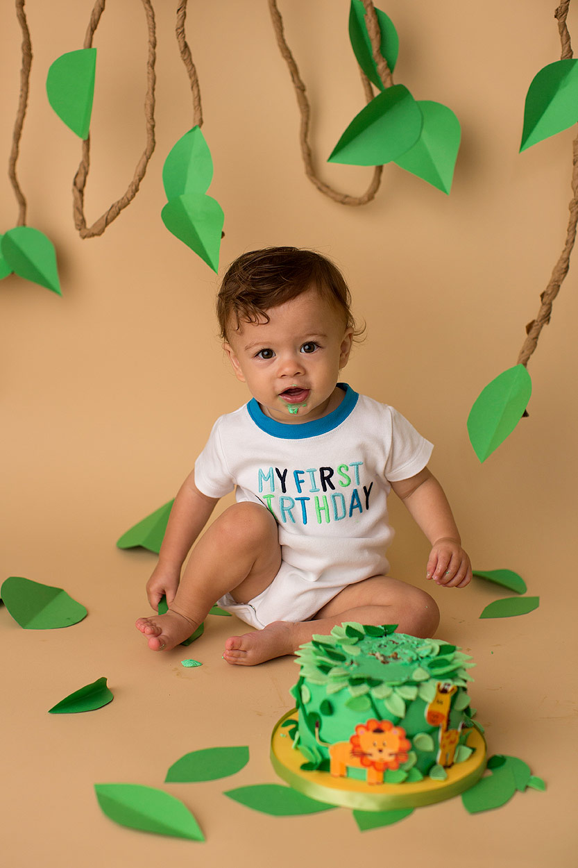 fayetteville cake smash photographer jungle theme