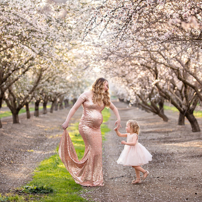 pregnancy photographer vacaville cherry blossoms