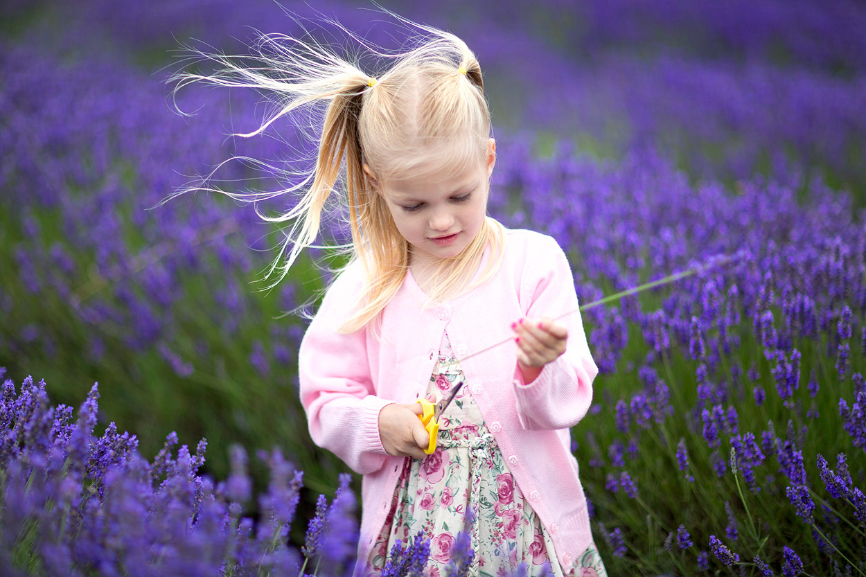 sacramento child photographer outdoor purple flowers