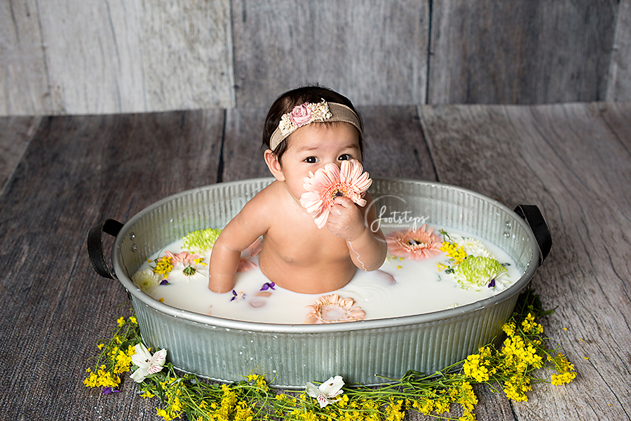 gerber daisy flower milk bath